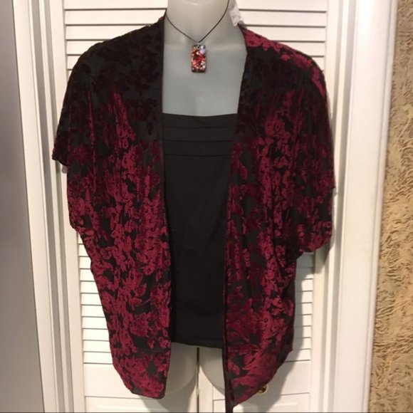 NWOT Top Fashion New York (L) velvet burnout - Picture 1 of 5
